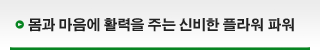 몸과 마음에 활력을 주는 신비한 플라워 파워