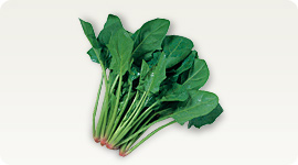 http://www.super-lutein.net/export/sites/superlutein/vi/vn/images/elements/image-03.jpg