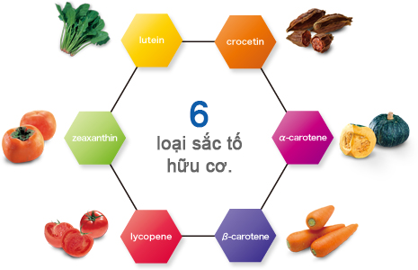 http://www.super-lutein.net/export/sites/superlutein/vi/vn/images/faq/image-01.jpg