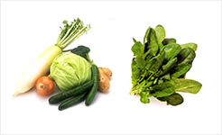 http://www.super-lutein.net/export/sites/superlutein/vi/vn/images/info/image-02.jpg