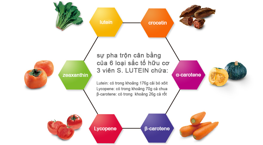 http://www.super-lutein.net/export/sites/superlutein/vi/vn/images/info/image-03.jpg